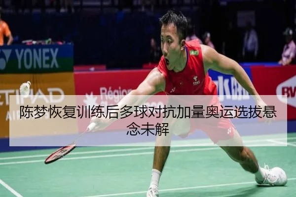 陈梦恢复训练后多球对抗加量奥运选拔悬念未解
